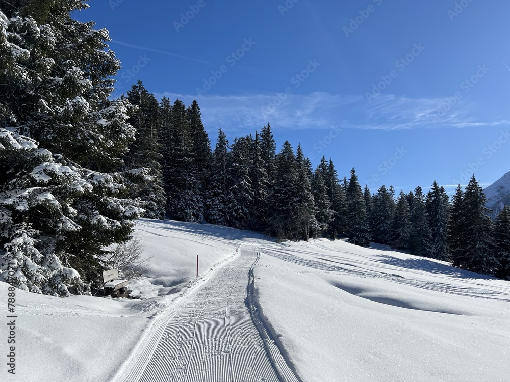 Fototapeta premium Excellently arranged and cleaned winter trails for walking, hiking, sports and recreation in the area of the tourist resorts of Valbella and Lenzerheide in the Swiss Alps - Switzerland (Schweiz)