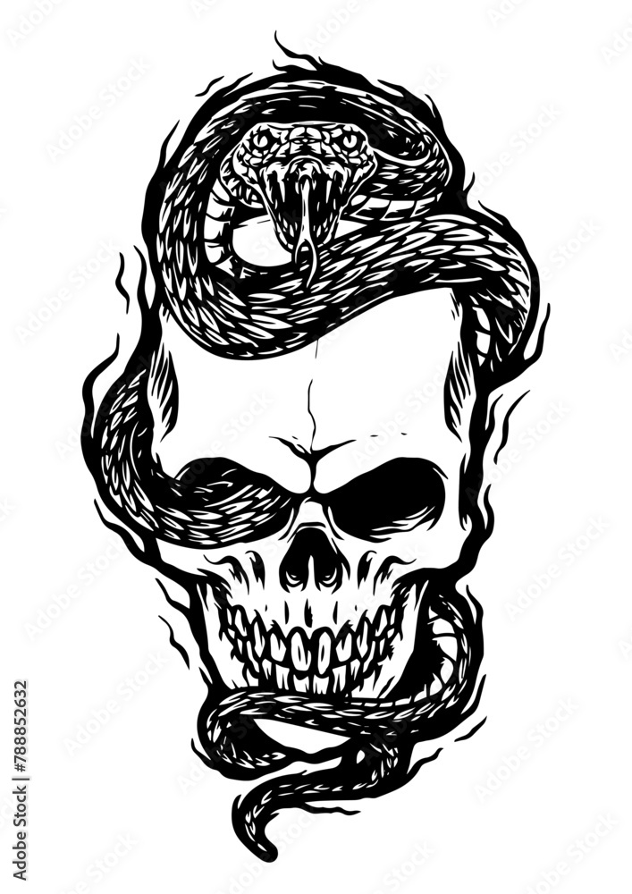Fototapeta premium cobra