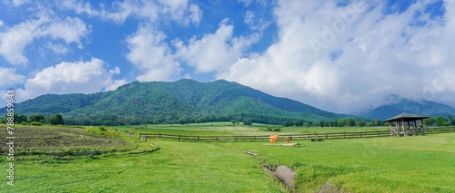 青空バックに見る新緑に包まれた蒜山高原の情景