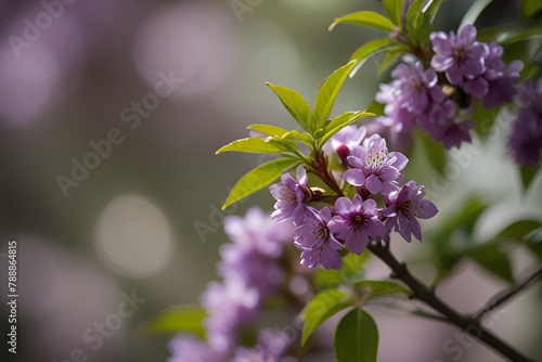 a clump of tiny purple colored flowers on an ornamental tree branch