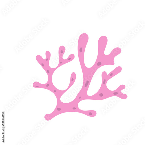 Coral Reef Illustration