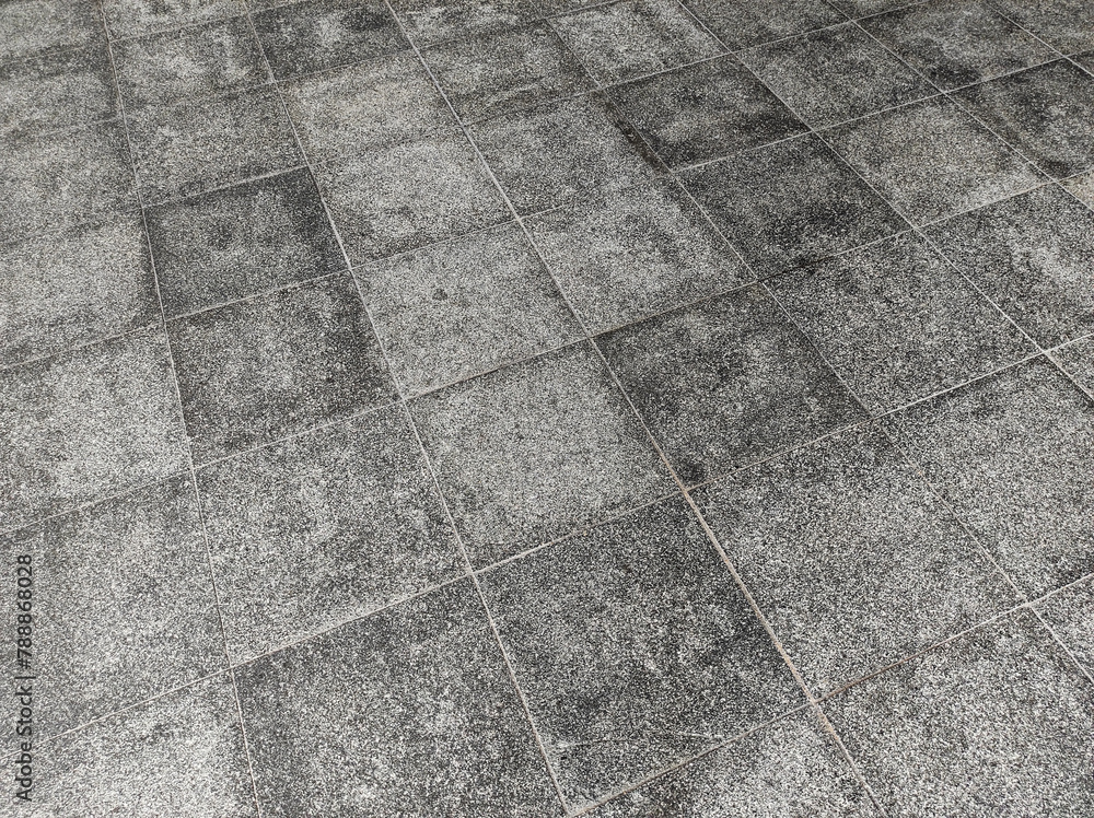 Fototapeta premium Garden cement paving floor background