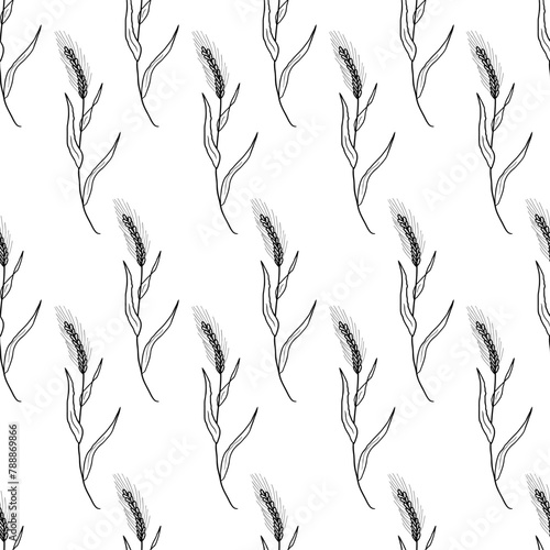 Seamless pattern with detailed realistic black and white illustration of rye plant. Hand drawn background with wheat ears in engraved vintage style. Sketch of agricultural plant.