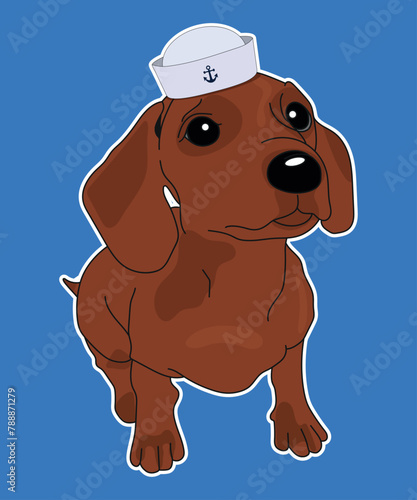 Perro salchicha Cachorro Ilustracion Vector Ilustracion con sombrero de marinero Bachicha