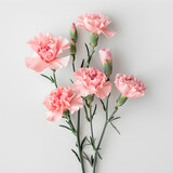 A vibrant pink carnation bouquet, perfect for celebrating special occasions and adding a touch of beauty to any space.