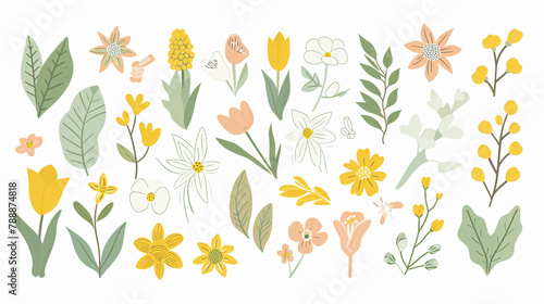 Artistic illustration of various spring flowers and leaves arranged aesthetically on a light background  concept  botanical art. 