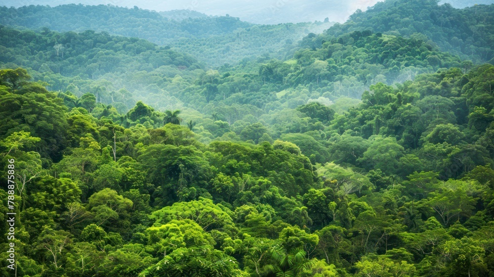 Fototapeta premium Lush green forests stretch as far as the eye can see, providing a haven for diverse wildlife.