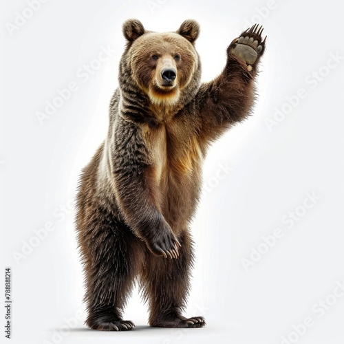 Grizzly bear standing waving its arms, Generative AI 