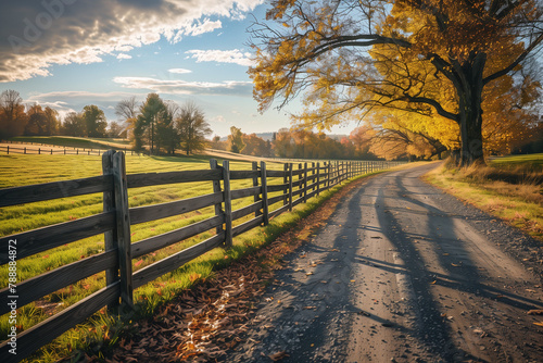 Rustic Autumn Farm Scene with Winding Dirt Road