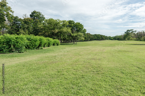 Beautiful landscape in park with green grass field © yotrakbutda