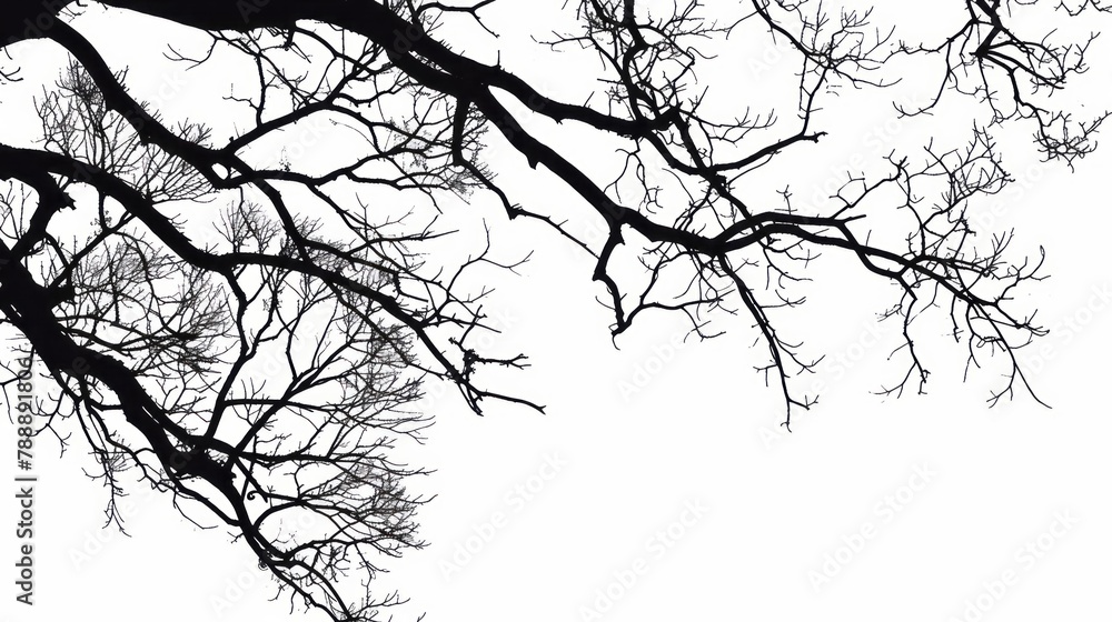 Obraz premium Black tree branches on a white background in a simple vector art style with a flat design and simple details in a minimalist style.