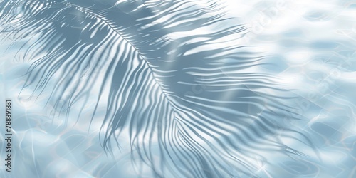 An abstract shadow of a palm tree leaf is cast on a water background.