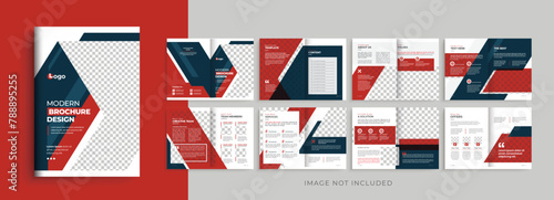 Editable company profile business brochure template design, red color shape modern brochure layout