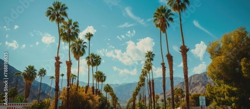 Sign at Palm Springs