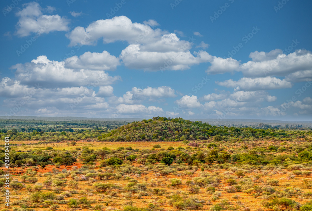 aerial view of typical african landscape, hill with bushveld with acacia trees and mountains range,
