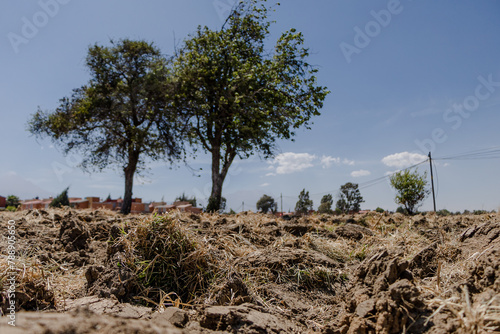 Crop fields during drought in Mexico in April 2024