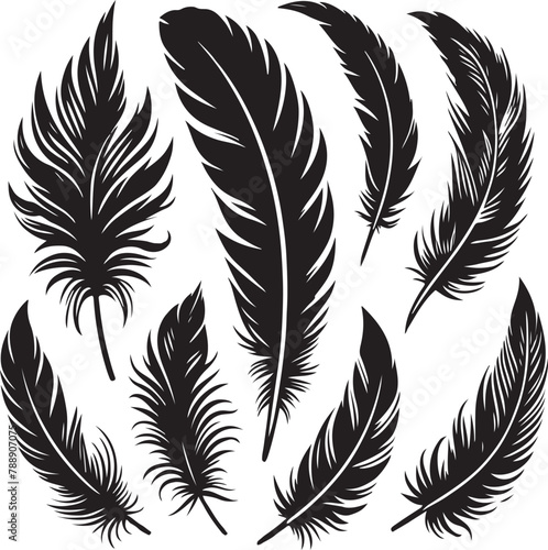 Birds feather silhouette vector illustration