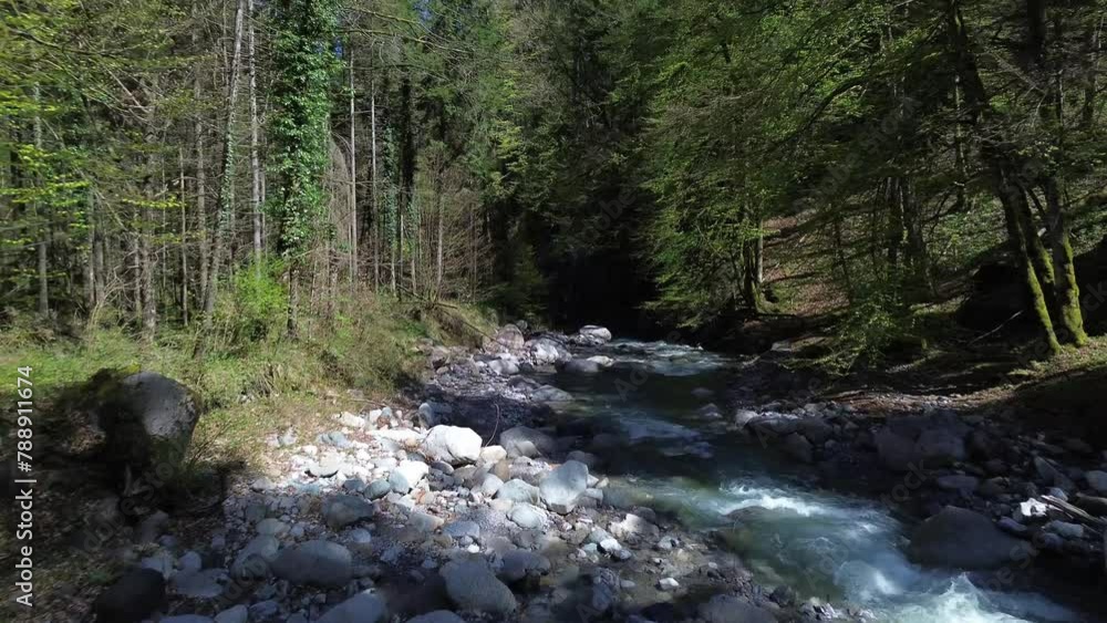 4K Aerial Drone Flight over beautiful mountain river surrounded by forest. Austria, Europe. Idyllic Nature landscape 4K Aerial Drone Flight over beautiful mountain river surrounded by forest. Austria, Europe. Idyllic Nature landscape