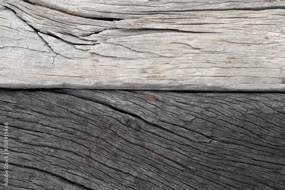 Obraz premium Close up wood texture for Background.