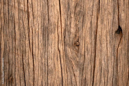 Close up wood texture for Background.