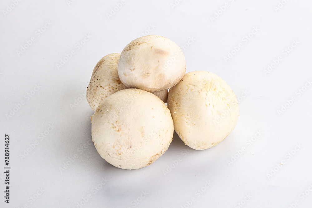 Natural organic ripe champignon mushrooms Natural organic ripe champignon mushrooms