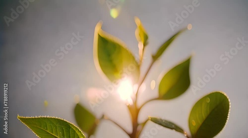 nature's green leaf shoots in a cinematic view photo