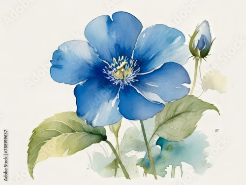 blue flower watercolor illustration