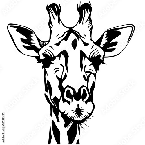 Giraffe head sketch