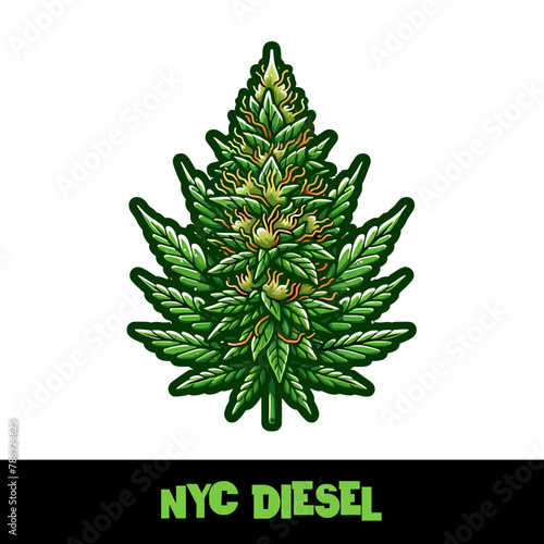 Vector Illustrated NYC Diesel Cannabis Bud Strain Cartoon