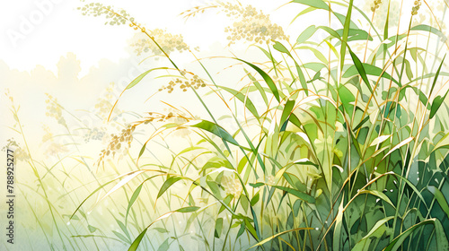 穂の付いた稲の水彩イラスト背景