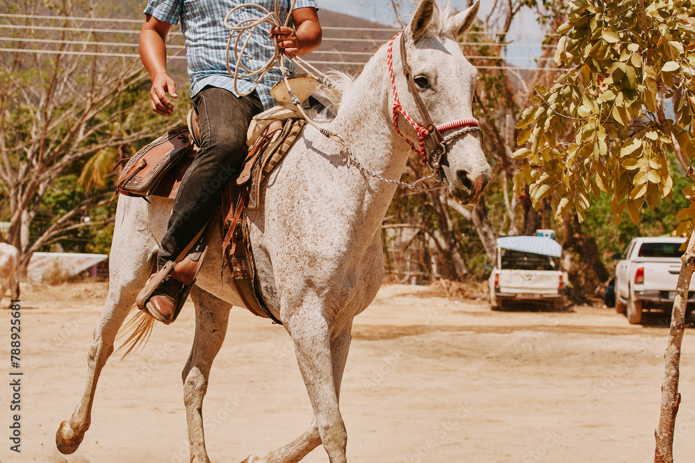 Hombre latino montando un caballo  - obrazy, fototapety, plakaty 