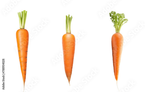 set of carrots isolated on transparent background