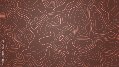 Topographic map contour lines background