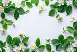 A vibrant flower and green leaves on a white background, perfect for botanical or nature-related themes.