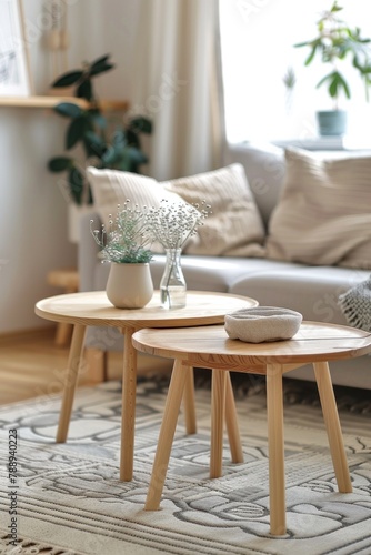 Two wooden coffee tables next to a Scandinavian futon in the living room.