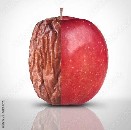 Tableau sur toile Health And Disease or Aging Process and mental health symbol as a new fresh ripe red apple decomposing and getting old and wrinkled as a symbol for optimism or pessimism and mortality