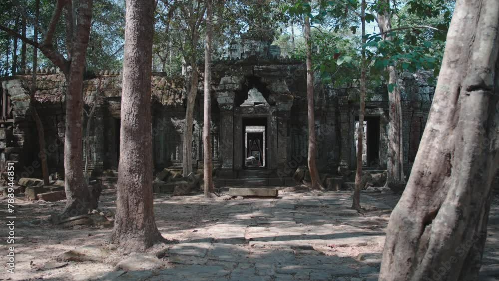 Ancient temple ruins of Angkor Wat surrounded by a forest in daylight Ancient temple ruins of Angkor Wat surrounded by a forest in daylight