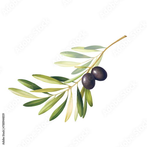 Olive branch sketch illustration. Isolated.