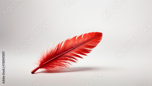 A red feather laying on a white surface.

 photo