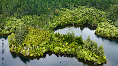 Drone perspective  of Lake Mangamahoe Taranaki  surrounded by forest