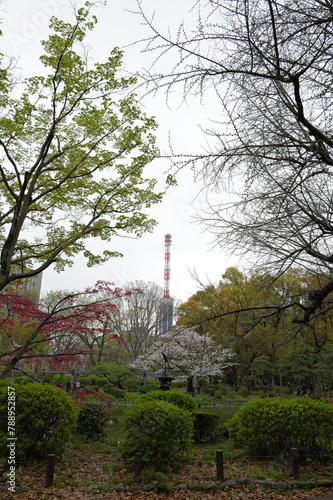 Tokyo, Japan - April 02, 2024 : Travelling to Japan is so amazing and love the city "Tokyo". Memorable Trip for us.
