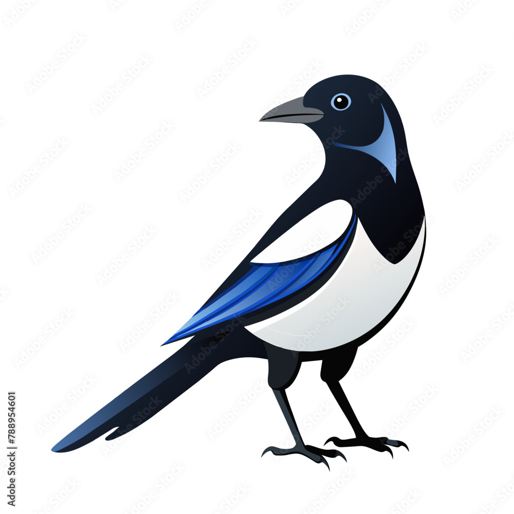 Fototapeta premium magpie cartoon flying bird, beautiful character of ornithology, vector illustration of crow with white feathers