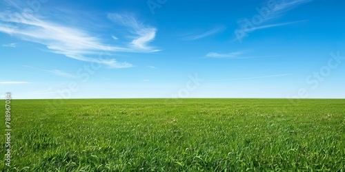 壮大な芝生と青空の背景素材06