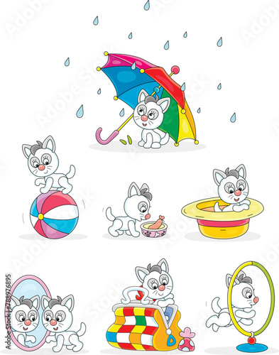 Playful cute little kitten ...