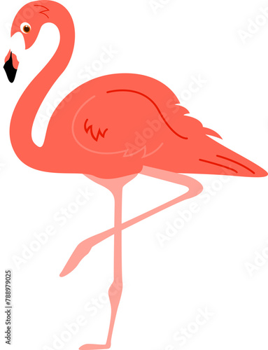 flamingo bird cartoon