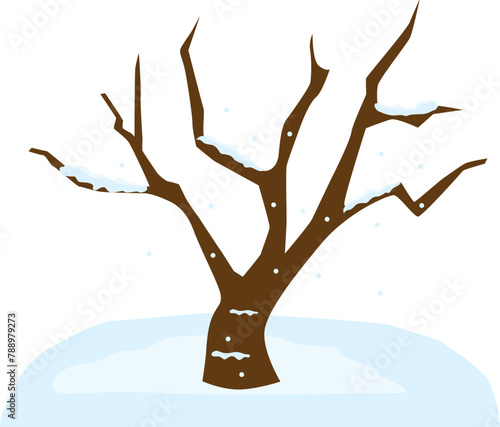 Snowy Tree Branch
