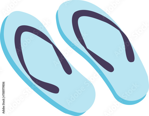 flipflop icon