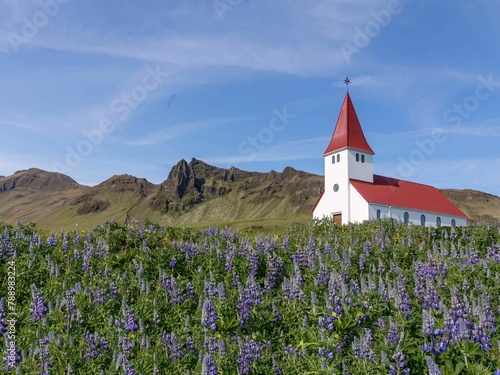 Scenic view of Vik Church framed by purple and white lupine flowers in a scenic field