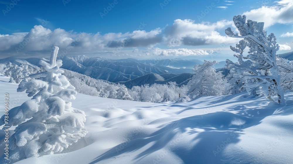 Snow Covered Mountain Landscape