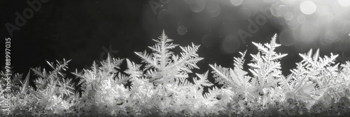 Exquisite Frost Patterns Forming Natural Artwork on Glass photo